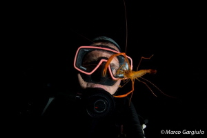 Self Portrait & shrimp, night dive by Marco Gargiulo 